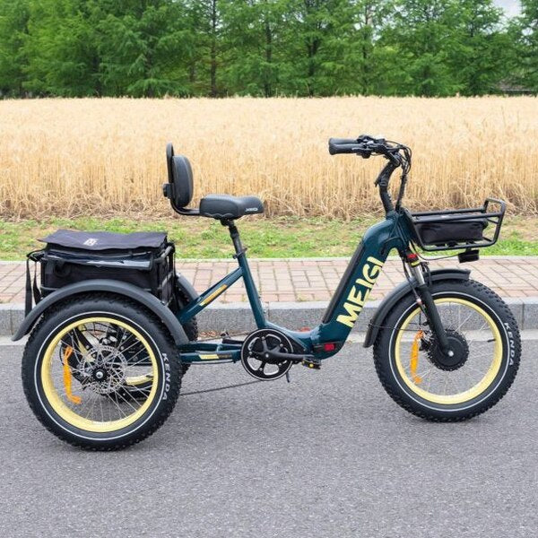 DWMEIGI Silverado 20 Foldable Fat Tire Electric Trike 48V/14AH 750W, 330LBS - MG2301