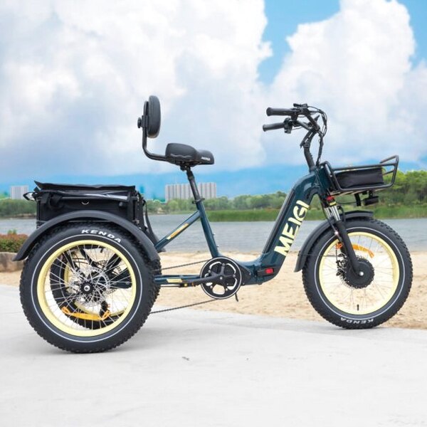 DWMEIGI Silverado 20 Foldable Fat Tire Electric Trike 48V/14AH 750W, 330LBS - MG2301