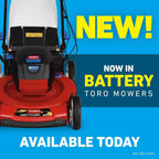 Toro Recycler 21 in High Wheel Push Gas Lawn Mower