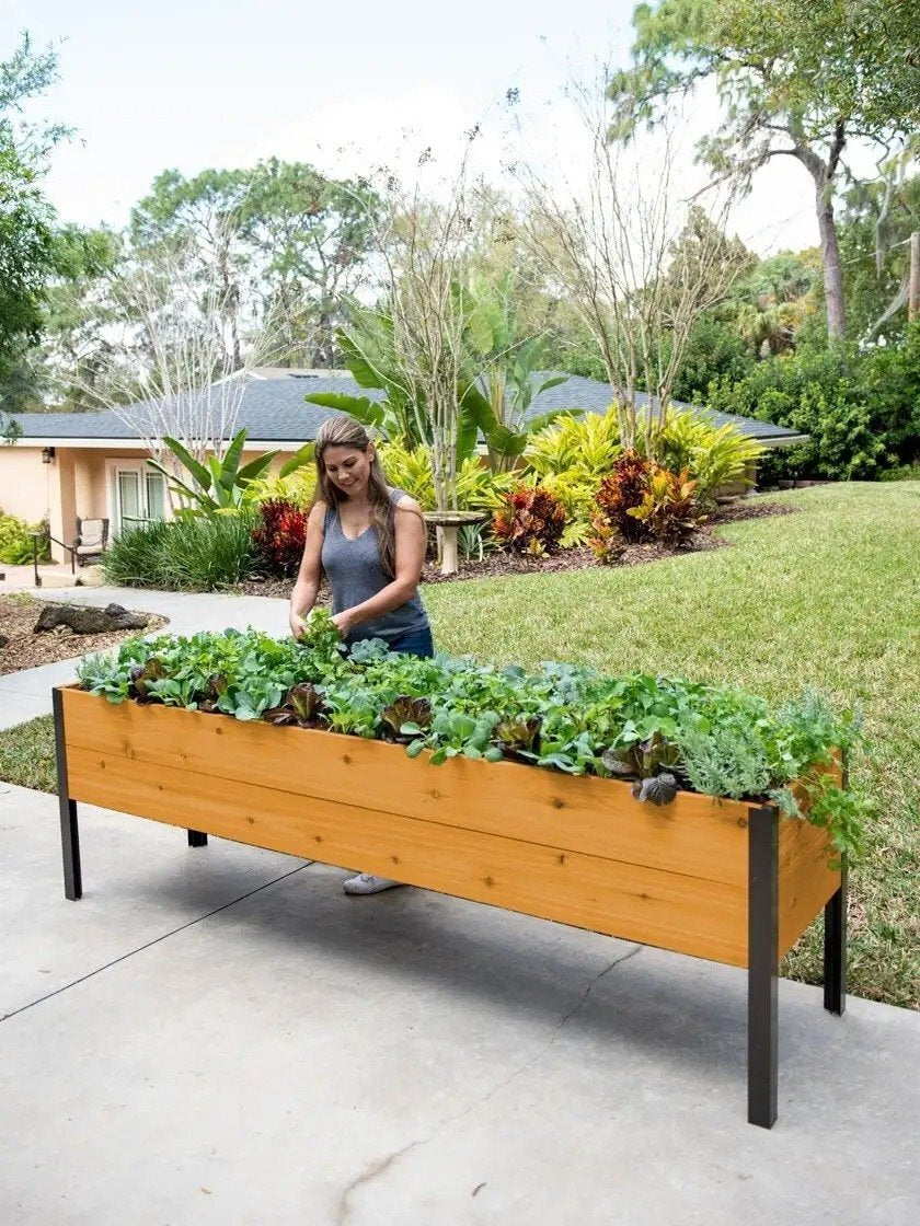 Self-Watering Eco-Stained Elevated Planter Box, Lakeside Cedar, 96 in x 24 in x 29 in