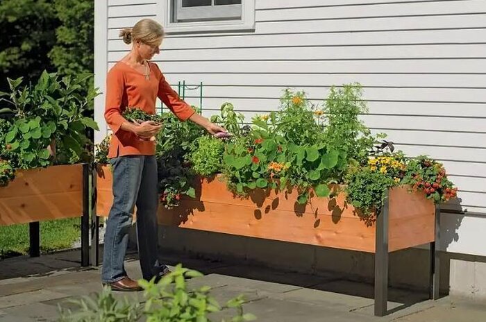 Self-Watering Eco-Stained Elevated Planter Box, Lakeside Cedar, 96 in x 24 in x 29 in