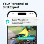 Birdfy Smart Bird Feeder With Camera, 1080P HD Video, 60FPS - Rookie