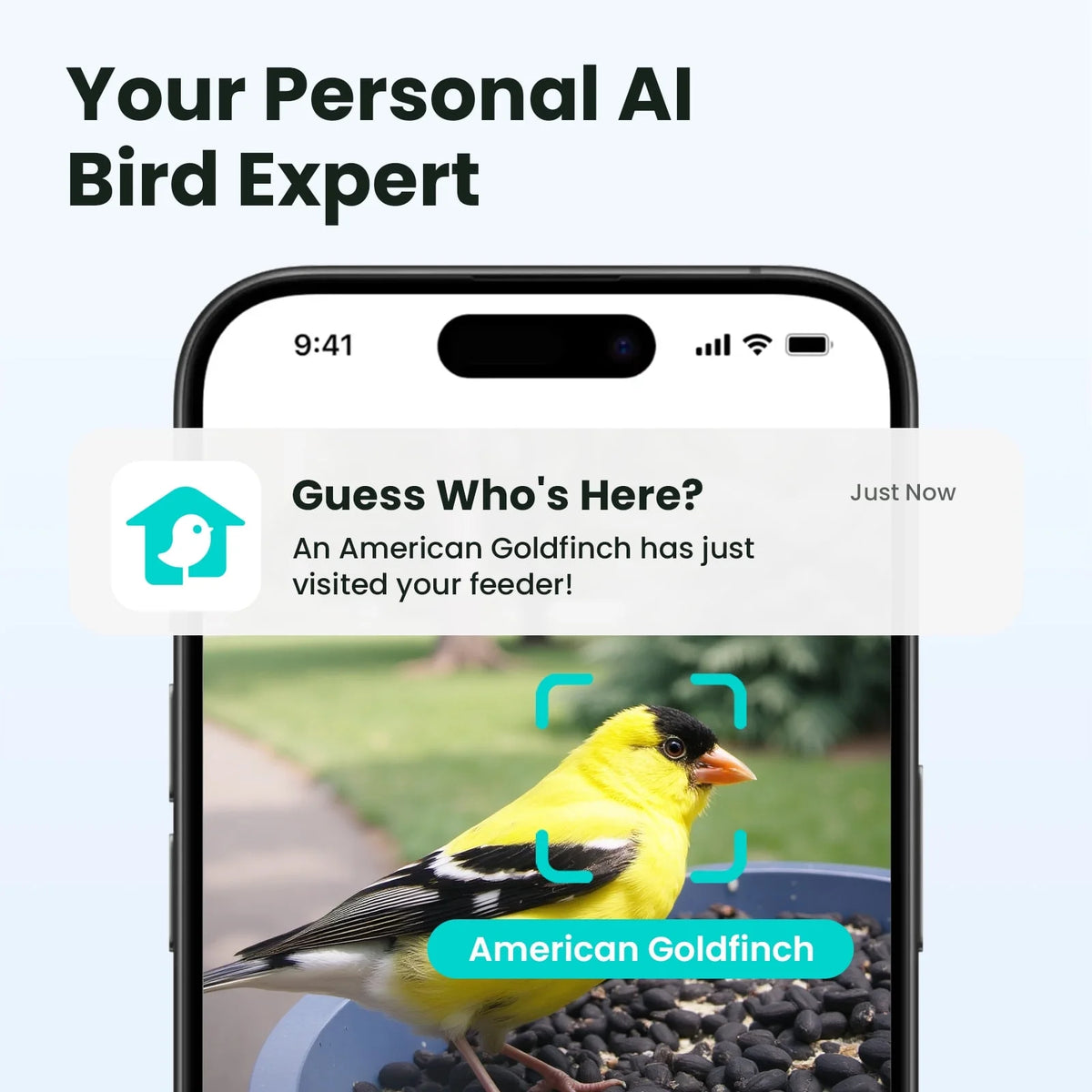Birdfy Smart Bird Feeder With Camera, 1080P HD Video, 60FPS - Rookie