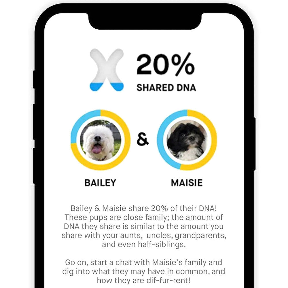 Embark Dog DNA Test Breed Identification Kit