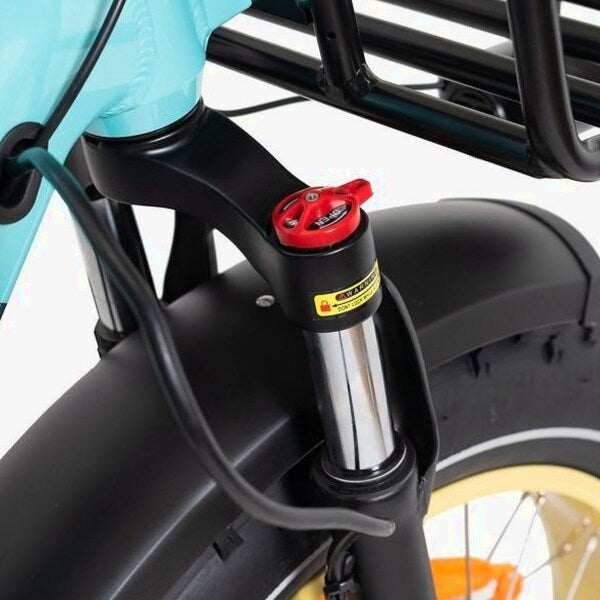 DWMEIGI Silverado 20 Foldable Fat Tire Electric Trike 48V/14AH 750W, 330LBS - MG2301