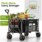 Raynesys Foldable Wagon Cart 300L 440 lbs Black & Gray