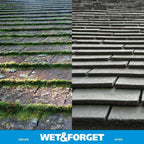 Wet & Forget Hose End Outdoor Stain Remover