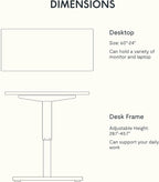 FLEXISPOT Electric Standing Desk With Whole-Piece Desktop - EN1