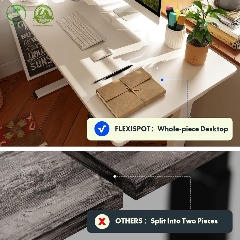 FLEXISPOT Electric Standing Desk With Whole-Piece Desktop - EN1