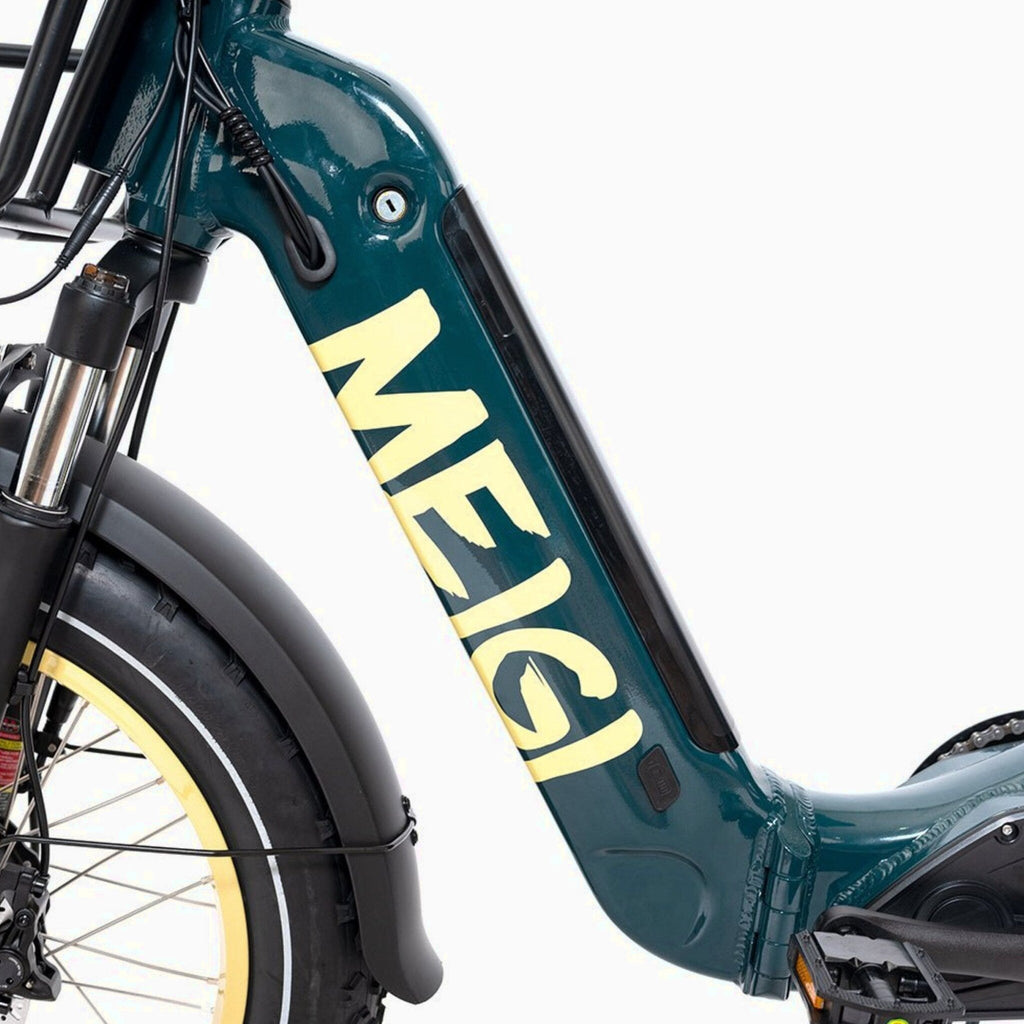 DWMEIGI Silverado 20 Foldable Fat Tire Electric Trike 48V/14AH 750W, 330LBS - MG2301