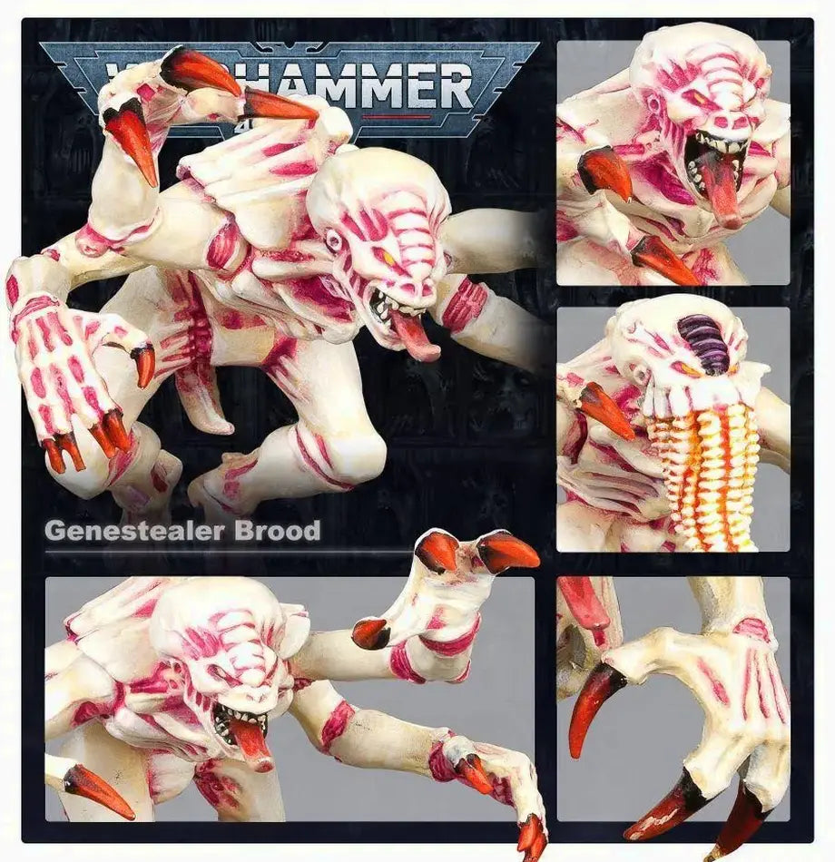 Warhammer 40K Tyranids Battleforce Brood Swarm