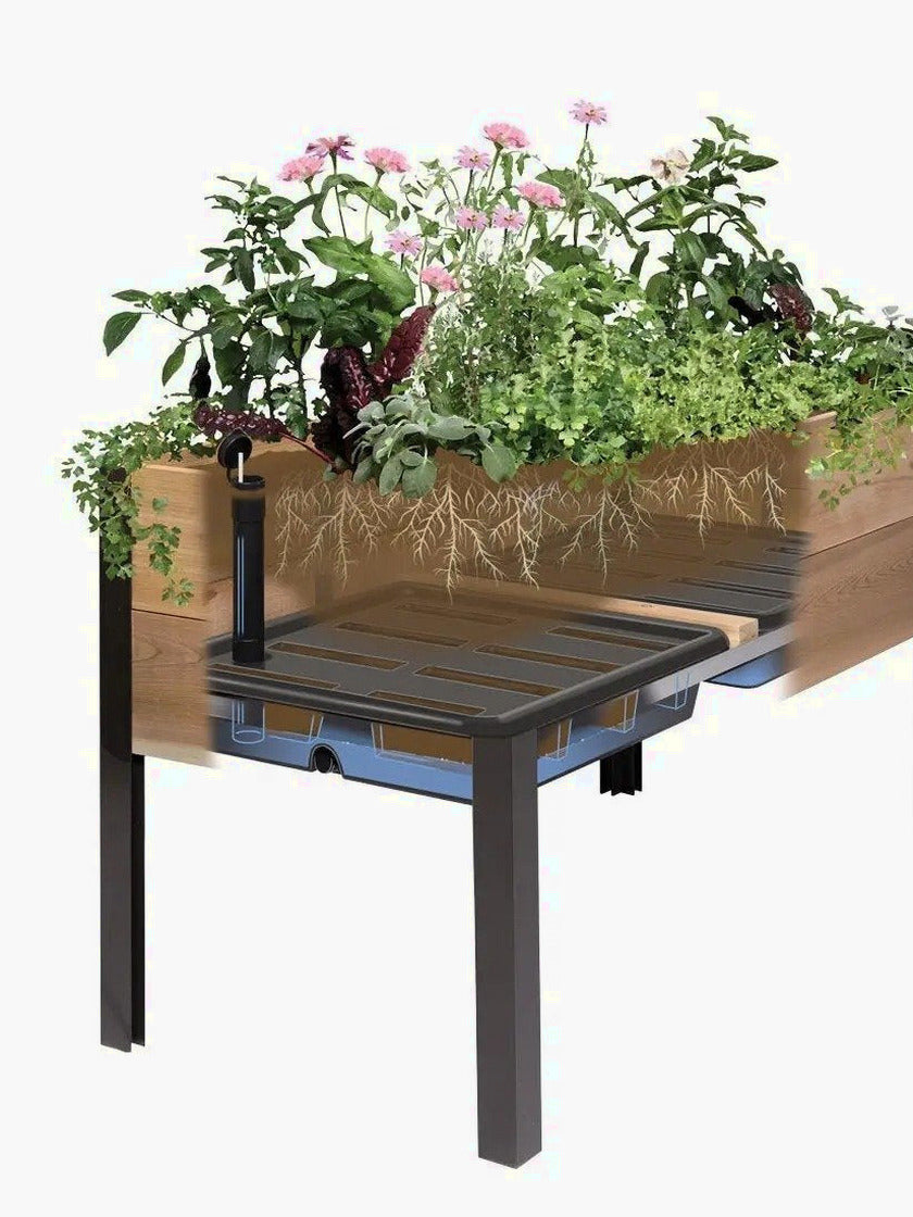 Self-Watering Eco-Stained Elevated Planter Box, Lakeside Cedar, 96 in x 24 in x 29 in