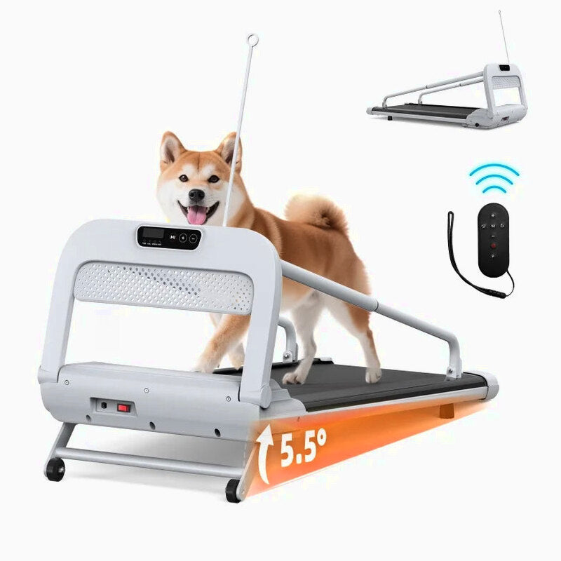 Witaxima Pet Treadmill, 2.5HP, 41.34 x 15.75 in Running Surface, Off White
