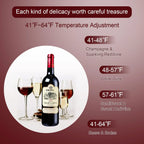 Zimtown 16 Bottle Compressor Wine Cooler Refrigerator, Black - Digital Temperature Control With Lock