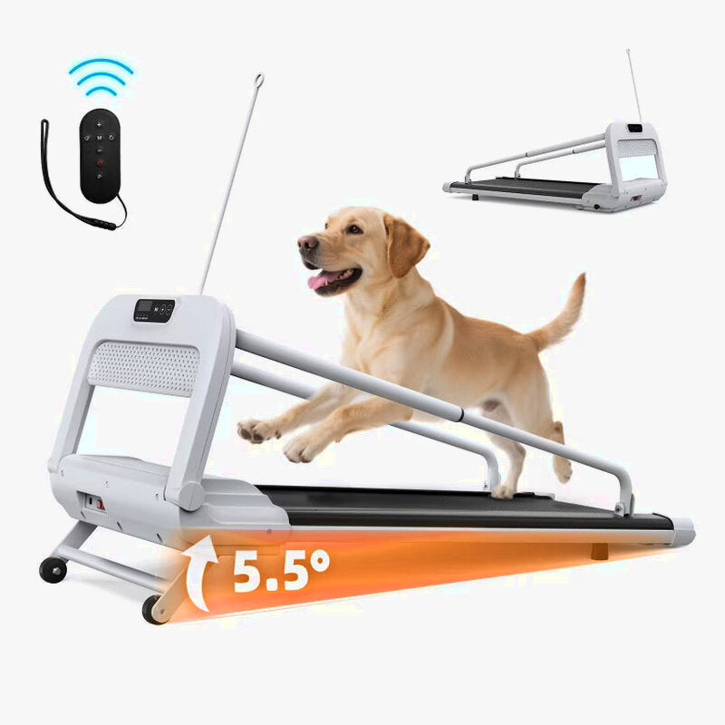 Witaxima Pet Treadmill, 2.5HP, 41.34 x 15.75 in Running Surface, Off White