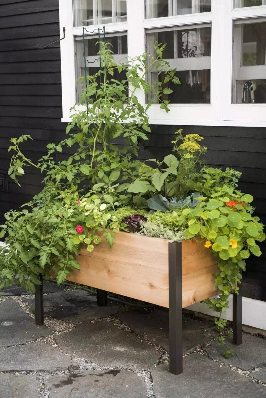 Self-Watering Eco-Stained Elevated Planter Box, Lakeside Cedar, 96 in x 24 in x 29 in
