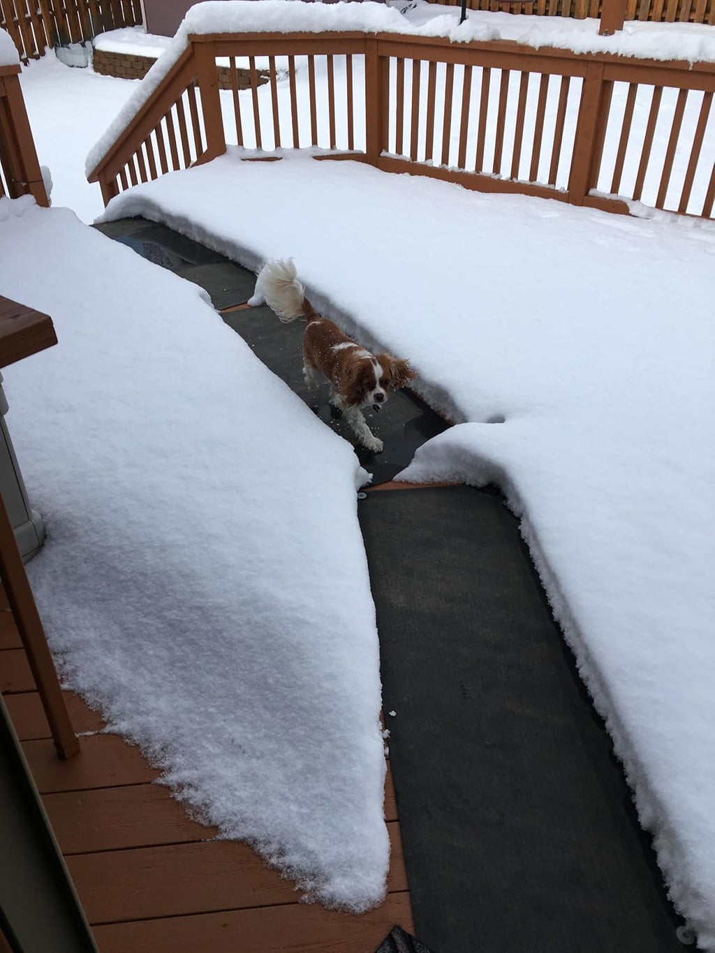HeatTrak Heated Outdoor Snow Melting Mat - 20 x 60 in