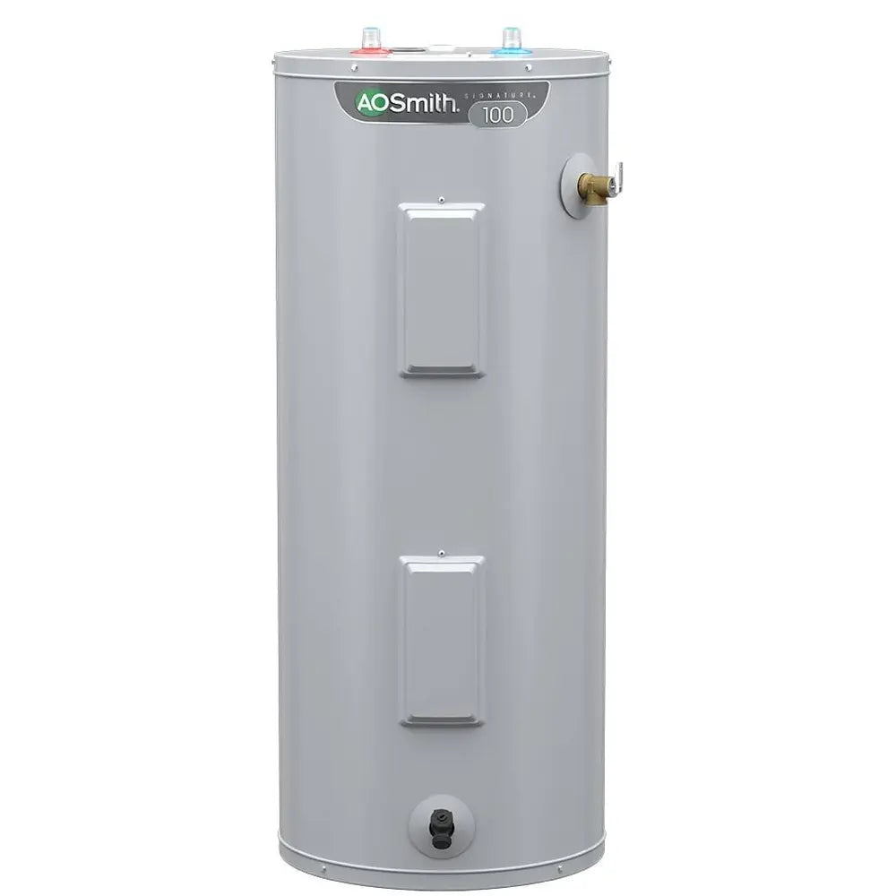 A.O. Smith Signature 100 30-Gallon Tall 4500-Watt Double Element Electric Water Heater - E6-30H45DV