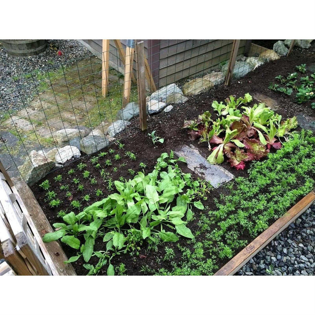 Seeding Square Square Foot Gardening Template Seed Sowing Tool Kit