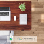 FLEXISPOT Electric Standing Desk With Whole-Piece Desktop - EN1