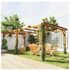 Wood Pergola 20 x 10 ft Dark Brown