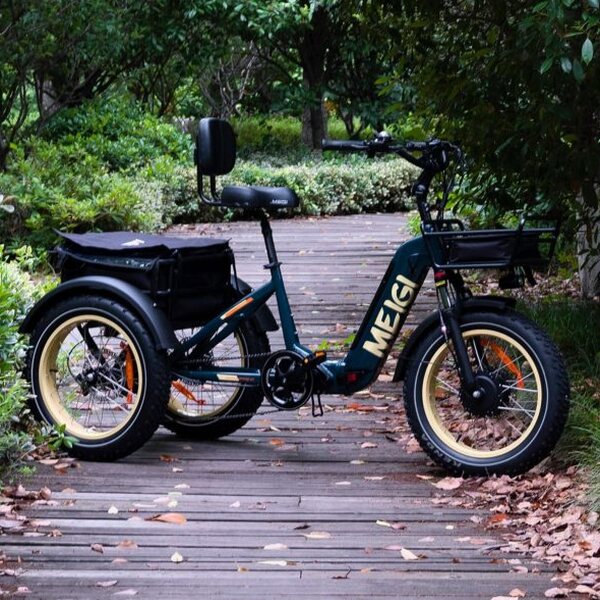 DWMEIGI Silverado 20 Foldable Fat Tire Electric Trike 48V/14AH 750W, 330LBS - MG2301