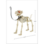 Way To Celebrate Animated Skeleton Dog Halloween Decoration, Beige, 60 in
