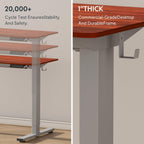 FLEXISPOT Electric Standing Desk With Whole-Piece Desktop - EN1