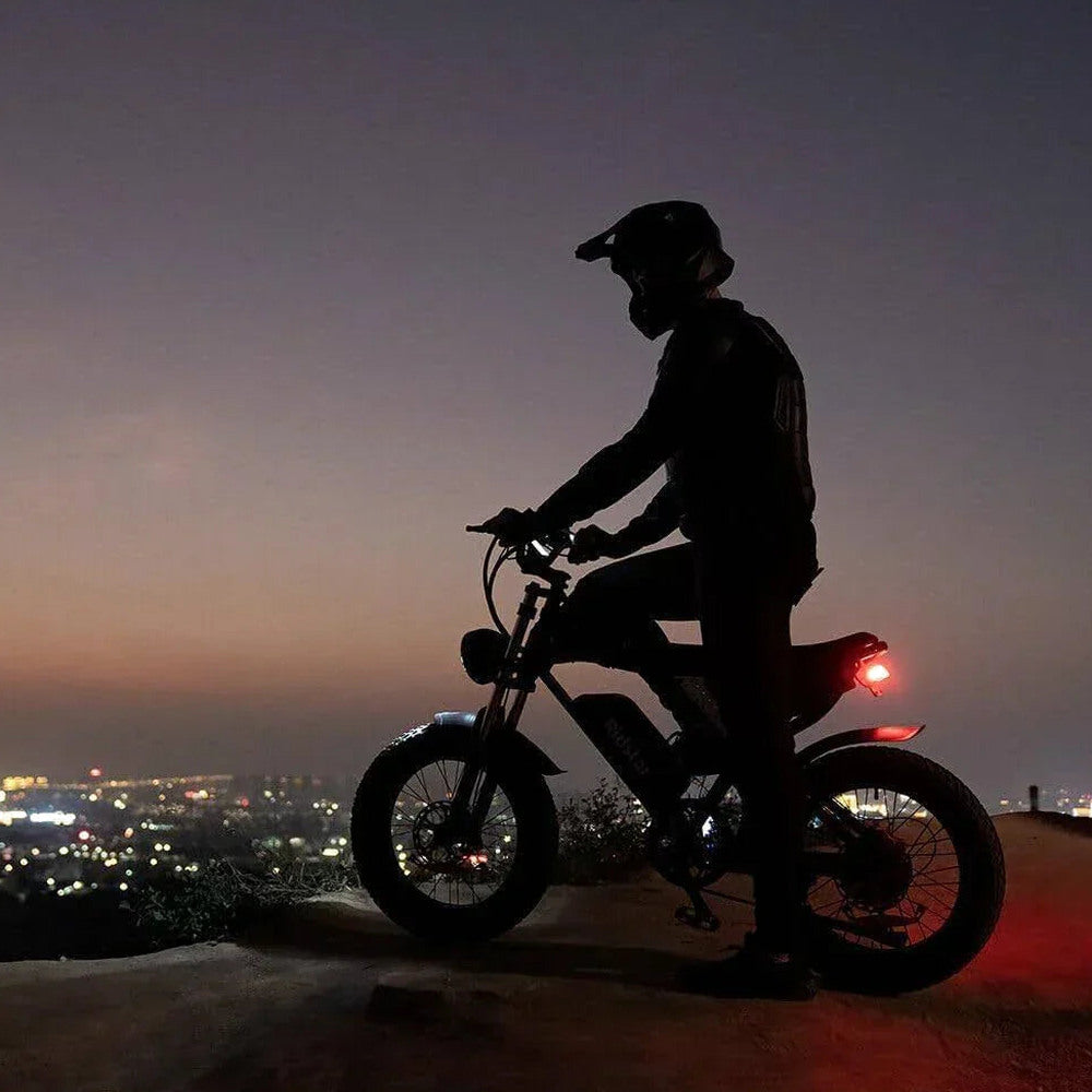 Dual Motor Electric Bike 2000W 52V 40Ah - Q20PRO