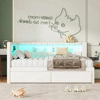 Upholstered Platform Bed Frame With USB Charging, LED Accent Lights And 2 Storage Drawers - Full/Twin