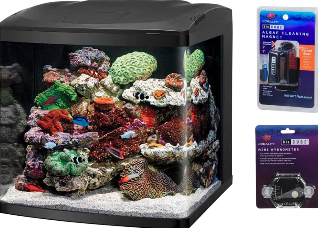 BIOCUBE LED Aquarium Tank And Stand Kit, 32 Gallon, Blue/White