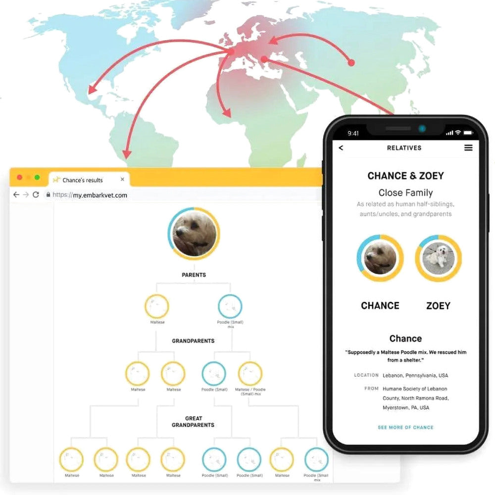 Embark Dog DNA Test Breed Identification Kit