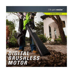 Greenworks 40V Brushless Cordless Leaf Blower/Vacuum - 24312VT