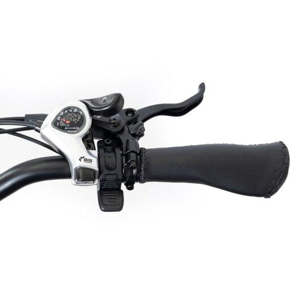 DWMEIGI Silverado 20 Foldable Fat Tire Electric Trike 48V/14AH 750W, 330LBS - MG2301