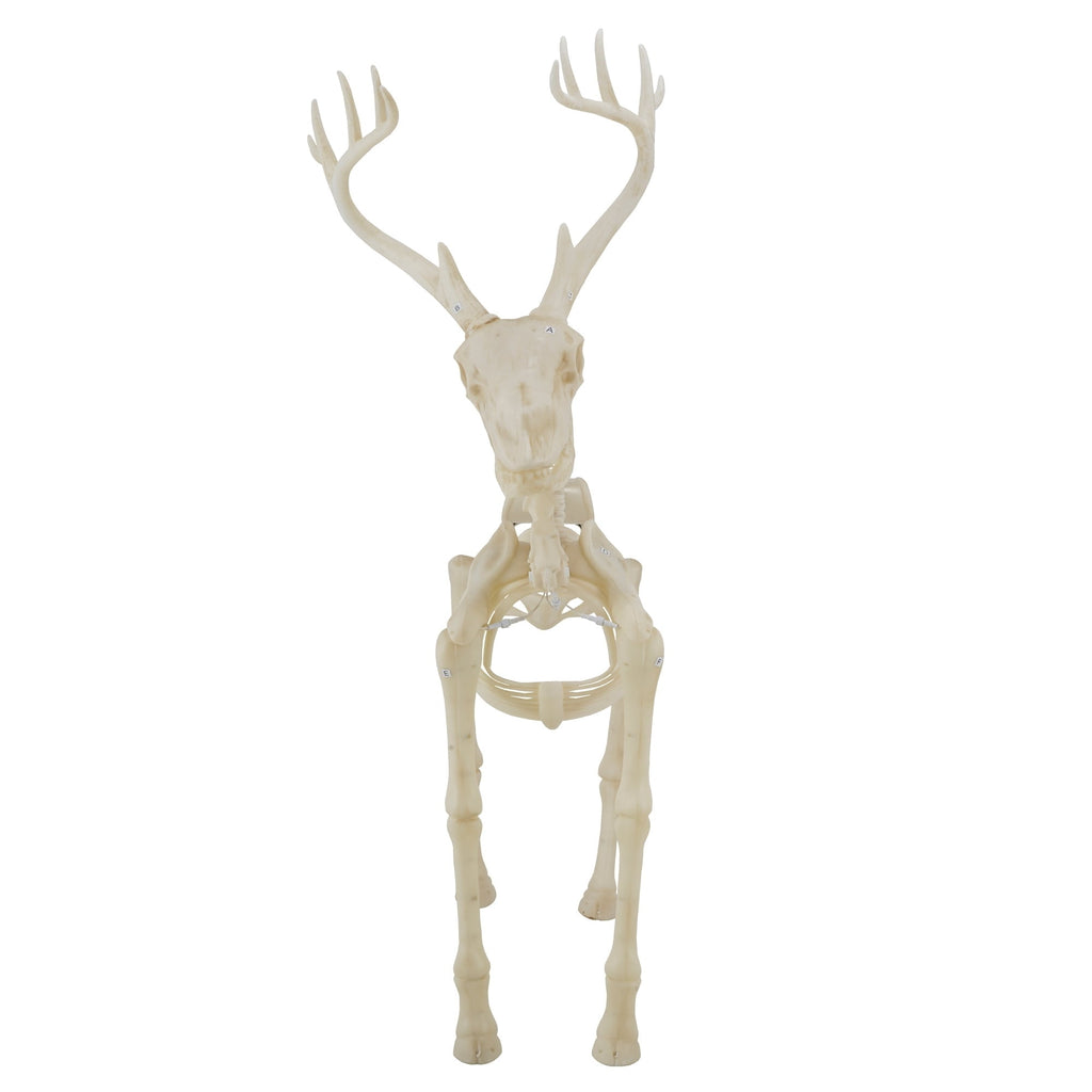 Light-Up Deer Skeleton Decoration, Ivory, 60", Halloween by Way To Celebrate