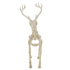 Light-Up Deer Skeleton Decoration, Ivory, 60", Halloween by Way To Celebrate