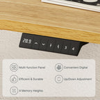 FLEXISPOT Electric Standing Desk With Whole-Piece Desktop - EN1