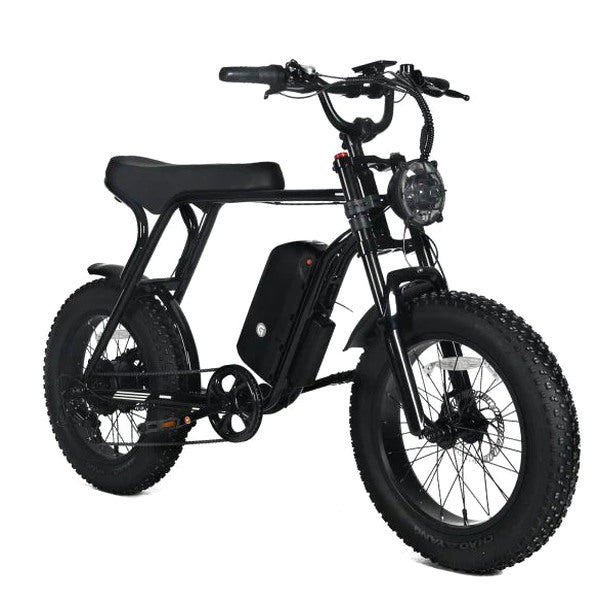 Electric Mountain Bike For Adults, 20 x 4.0 Fat Tires, 1000W Motor, 48V 20Ah Battery, Black - G-M1Sp