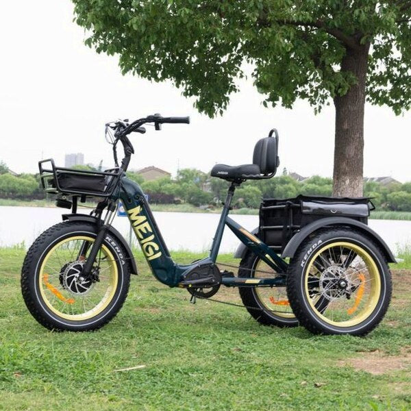 DWMEIGI Silverado 20 Foldable Fat Tire Electric Trike 48V/14AH 750W, 330LBS - MG2301
