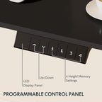 FLEXISPOT Electric Standing Desk With Whole-Piece Desktop - EN1