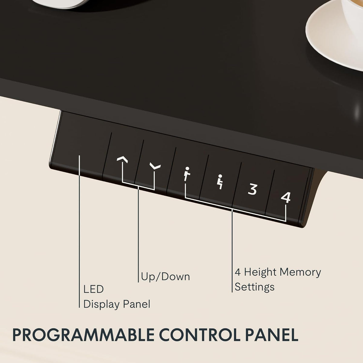 FLEXISPOT Electric Standing Desk With Whole-Piece Desktop - EN1