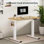 FLEXISPOT Electric Standing Desk With Whole-Piece Desktop - EN1