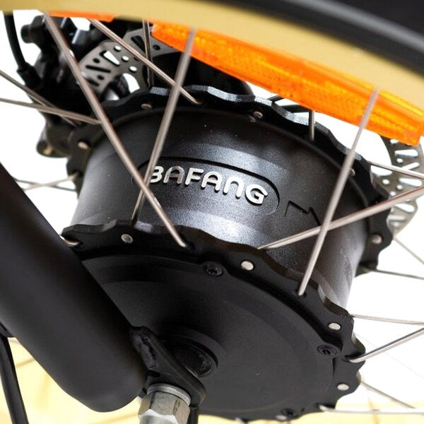 DWMEIGI Silverado 20 Foldable Fat Tire Electric Trike 48V/14AH 750W, 330LBS - MG2301