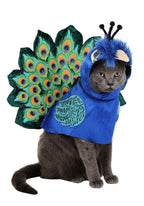 Pretty as a Peacock Pet Costume