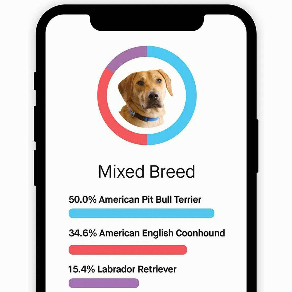 Embark Dog DNA Test Breed Identification Kit