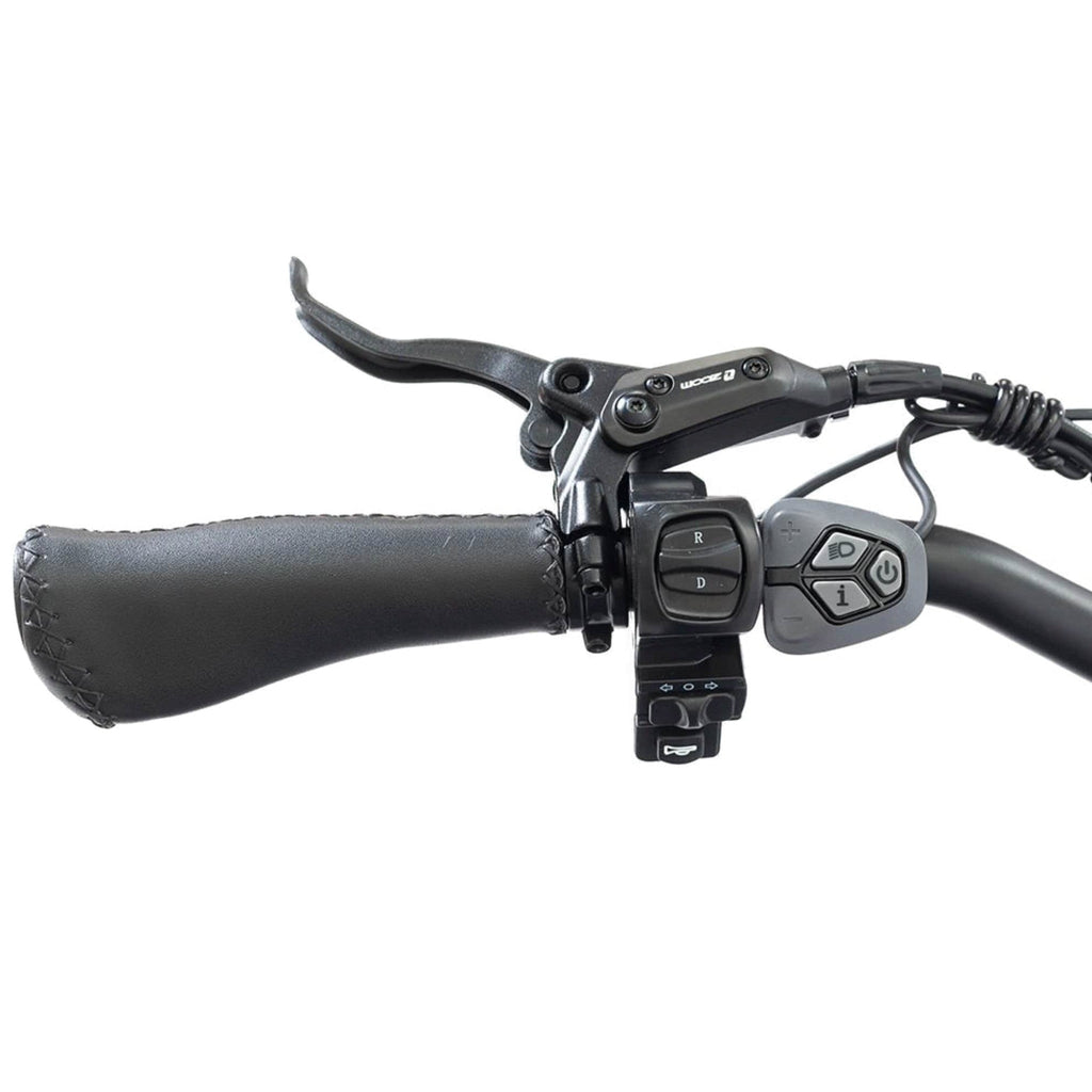 DWMEIGI Silverado 20 Foldable Fat Tire Electric Trike 48V/14AH 750W, 330LBS - MG2301