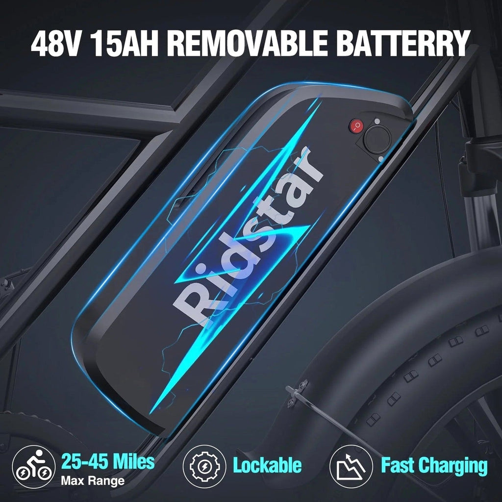 Electric Adult E-Bike 750W 48V 15AH 20in x 4.0 Fat Tire 2 Seater - UL2849
