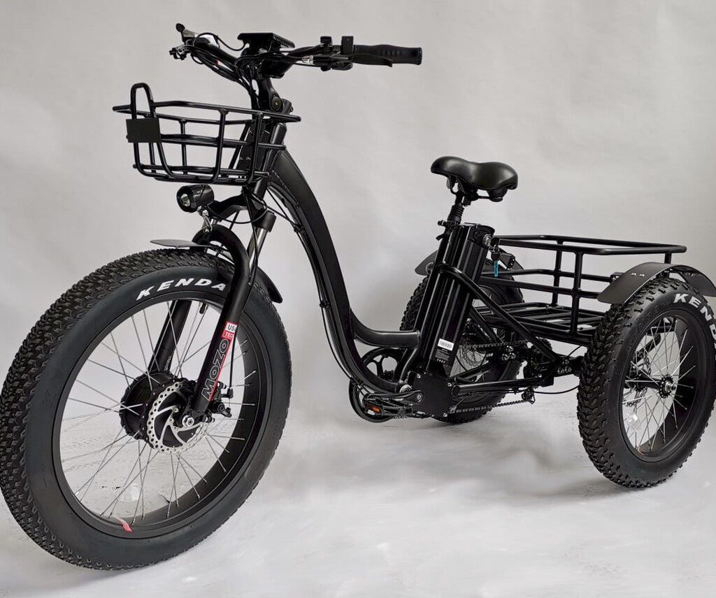 BaFang Fat Tire Electric Trike, 750W 48V 16AH Samsung Battery, 350 lbs Capacity