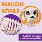 Joyfy 9.8 Inch Halloween Skeleton Dog Skeleton Halloween Decor, Pose-N-Stay Plastic Skeleton Bones with Posable Joints for Hallowmas Decoration Outdoor Haunted House Party