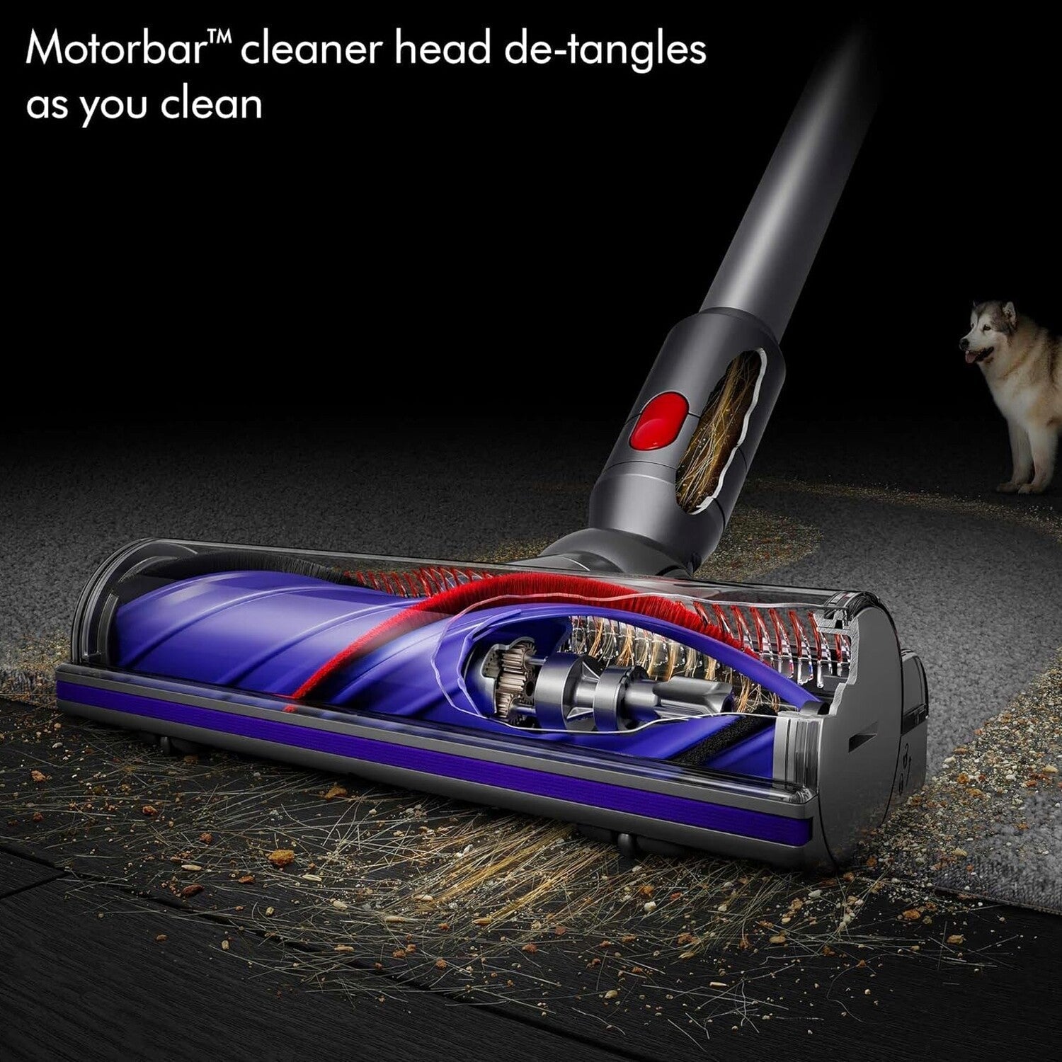 Dyson V8 Plus Cordless Vacuum Cleaner - SV25